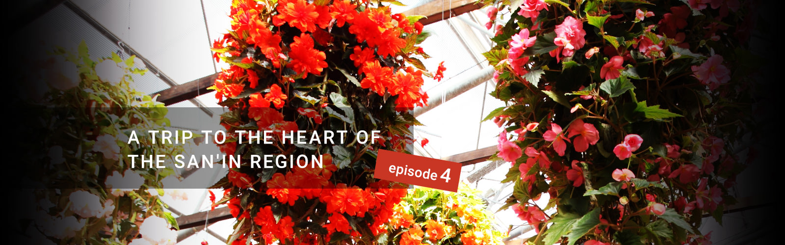 Story - Episode4 | A TRIP TO THE HEART OF THE SAN'IN REGION