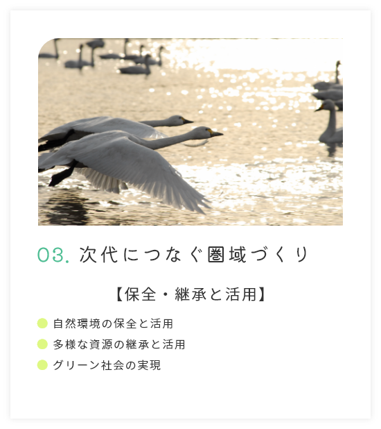 03.次代につなぐ圏域づくり【保全・継承と活用】